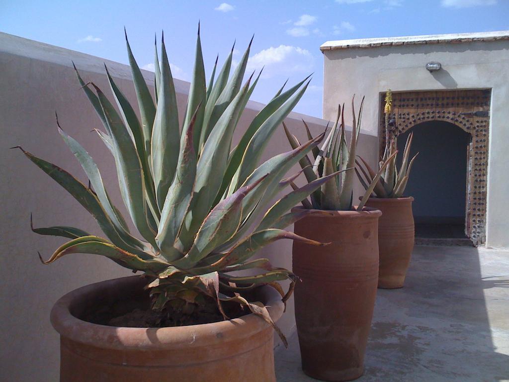 Riad Due Marraquexe Exterior foto